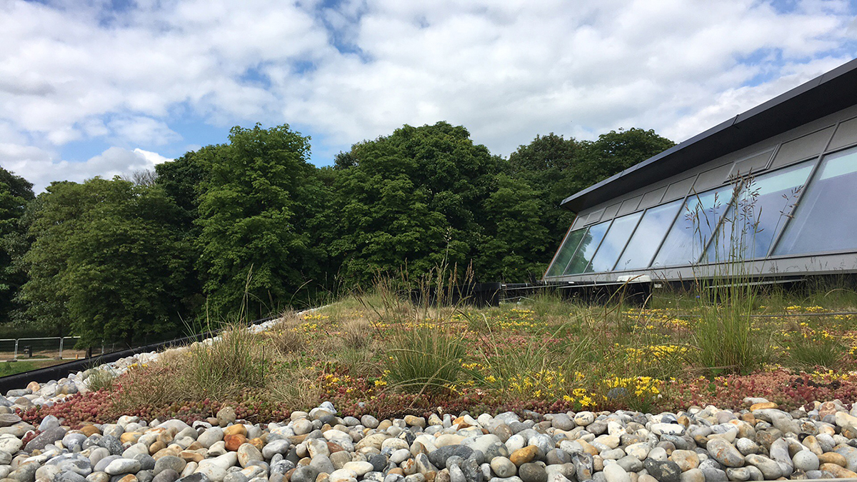 The growth of Green Roofs and Carlisle’s Root Resistant Portfolio: A solution for sustainable living
